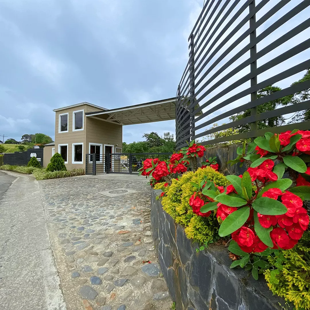Cedronegro — PROArquitectura