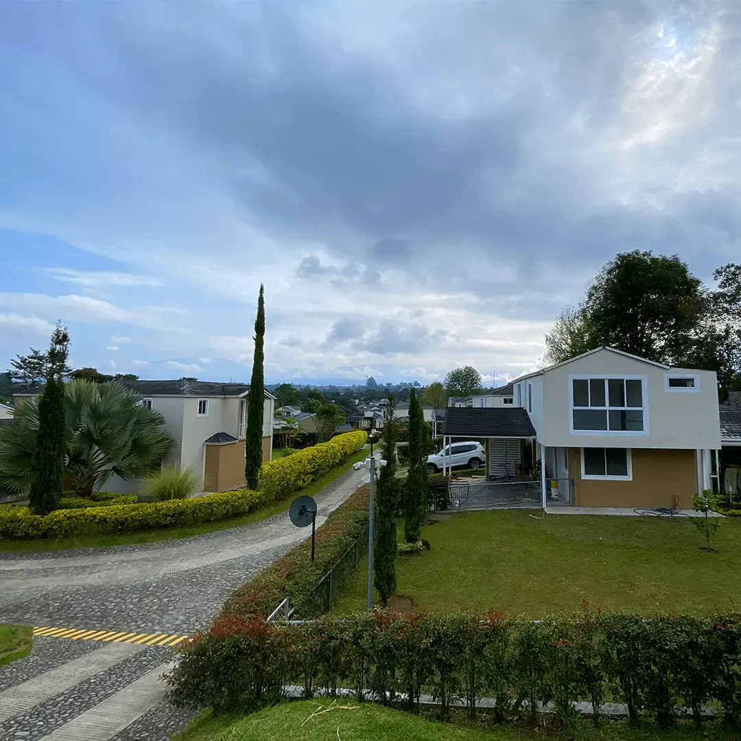 Cedronegro — PROArquitectura