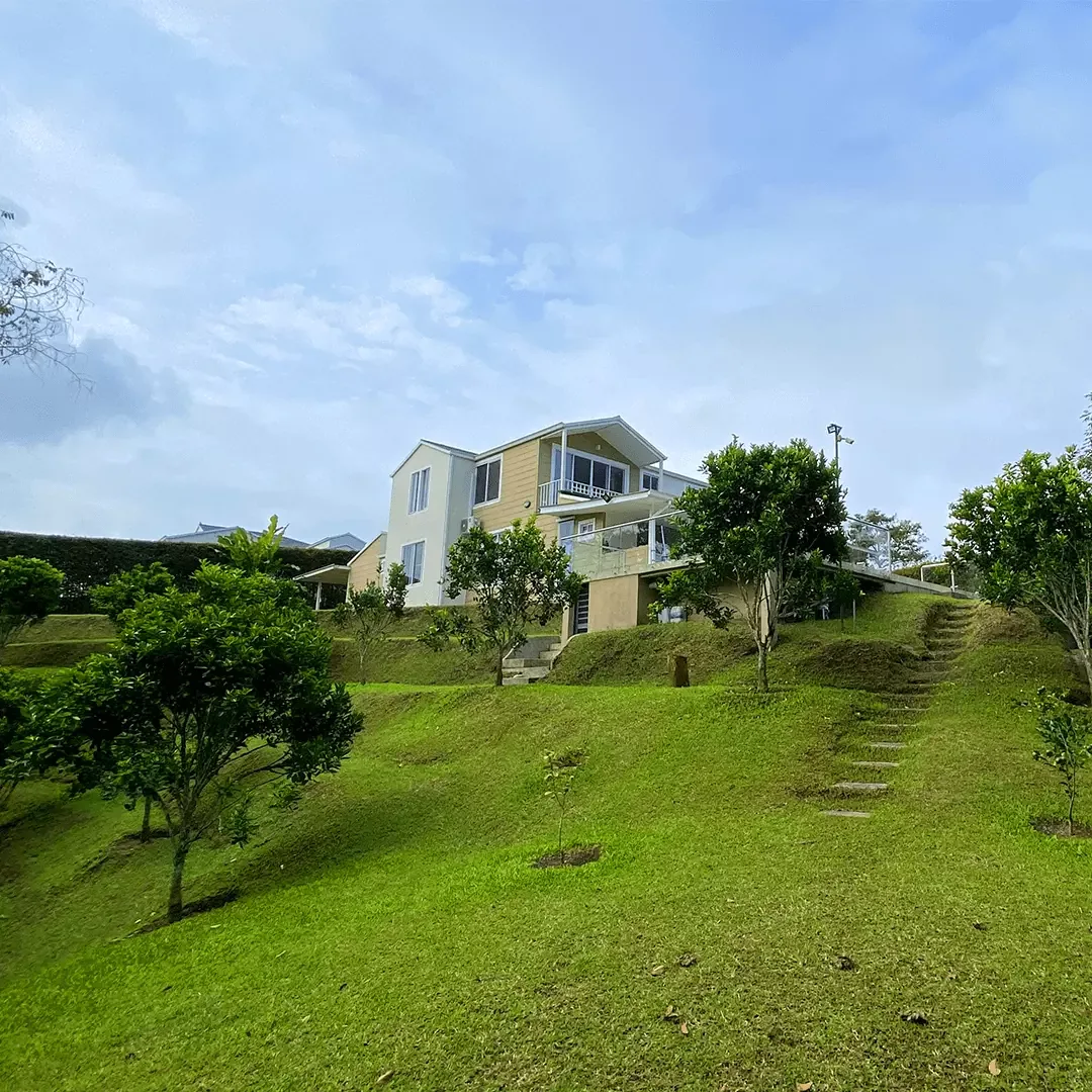 Cedronegro — PROArquitectura