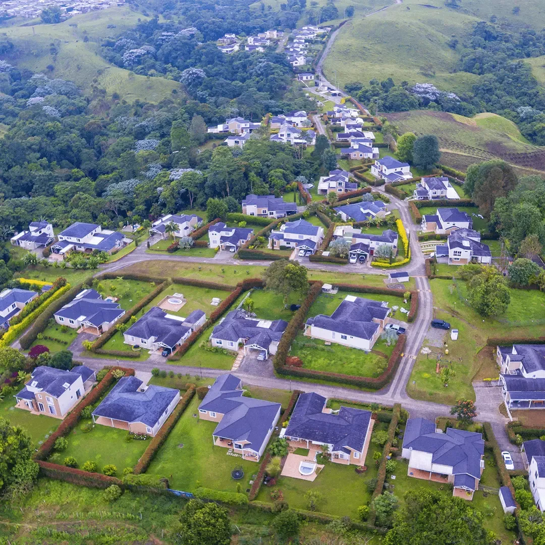 Cedronegro — PROArquitectura