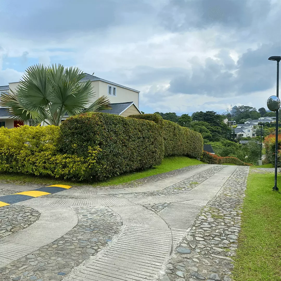 Cedronegro — PROArquitectura